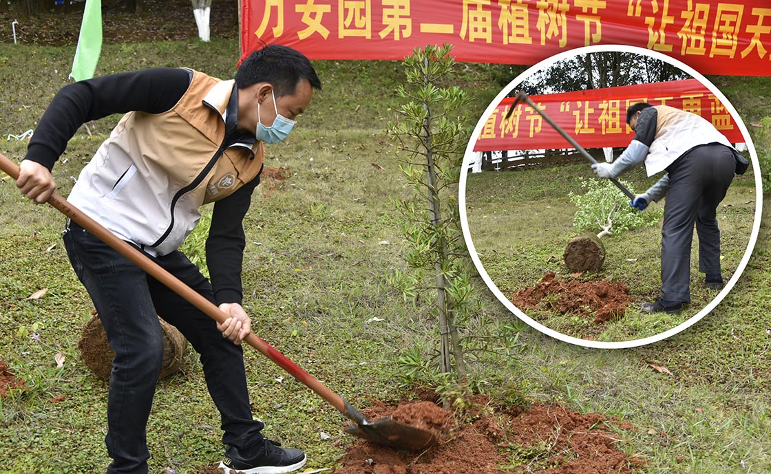 l图4，植树1120.jpg