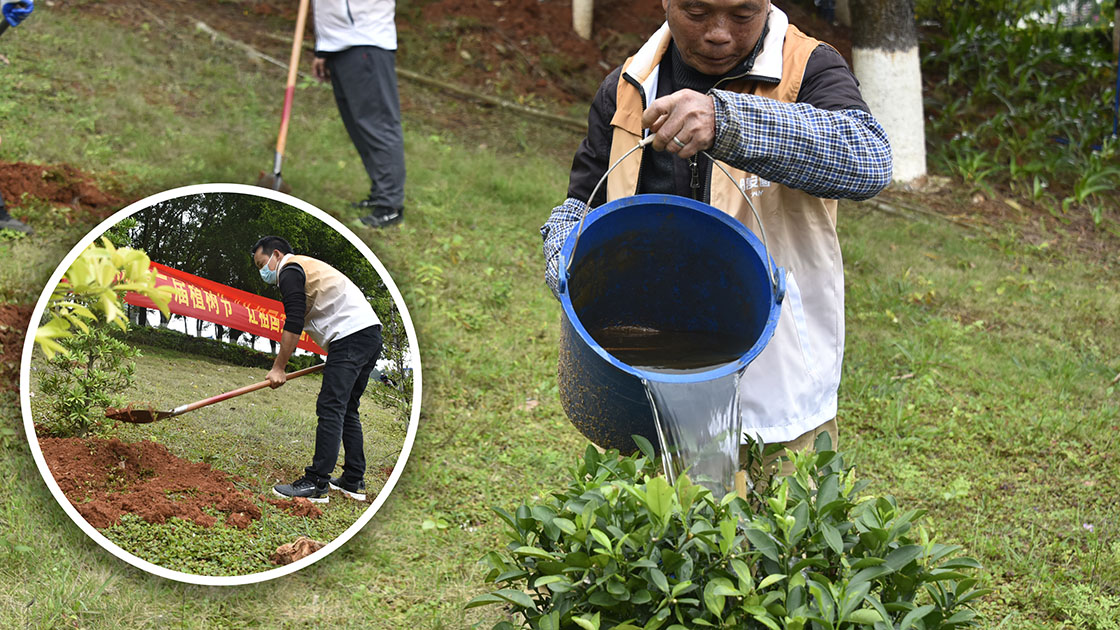 图5植树1120.jpg