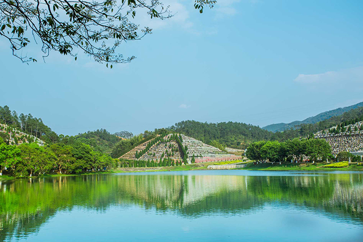 万安园湖面
